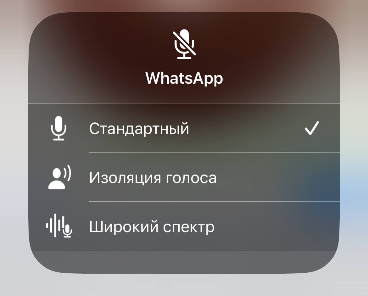 Изоляция голоса и режим портрета для кружков на Айфонах