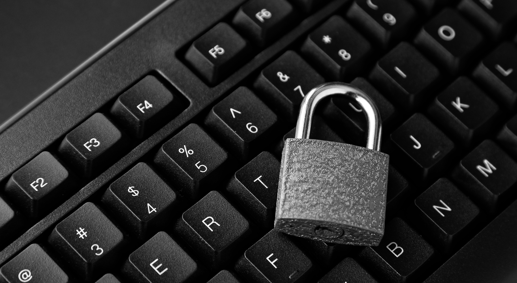 В Security Vision выяснили, как россияне относятся к киберрискам