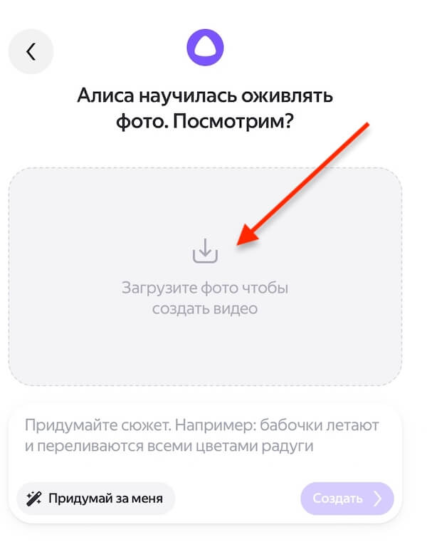 Как добавить фото в Алису